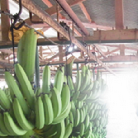 snapcrab_noname_2016-12-23_0-33-50_no-00