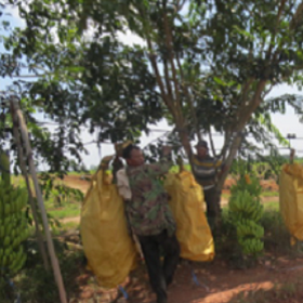 snapcrab_noname_2016-12-23_0-36-2_no-00